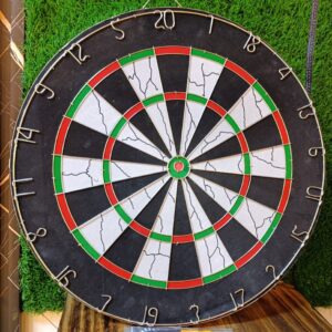 Professional Dart Board Set